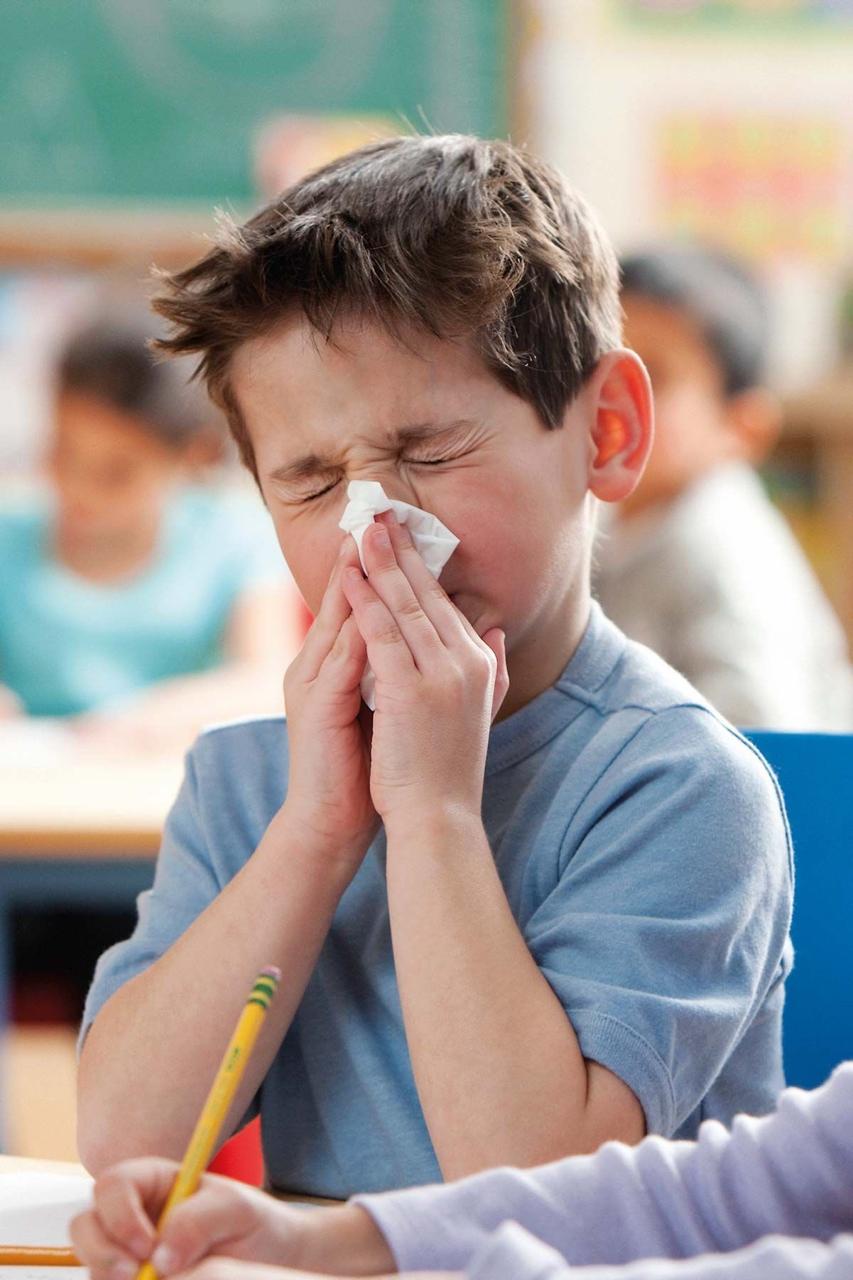 Suplementos y vitaminas